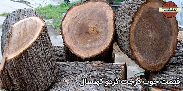 قیمت چوب درخت گردو کهنسال