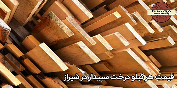 قیمت هر کیلو درخت سپیدار در شیراز