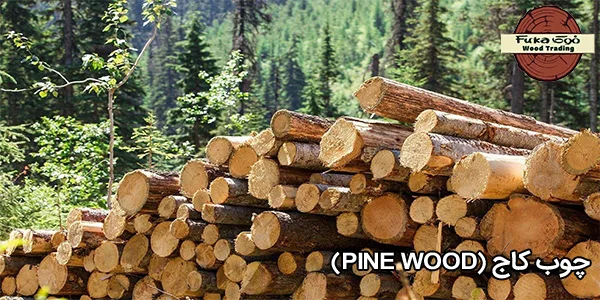 چوب کاج (Pine Wood)