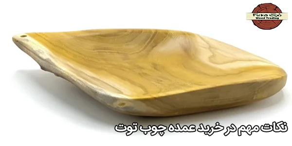 نکات مهم در خرید عمده چوب توت شیراز