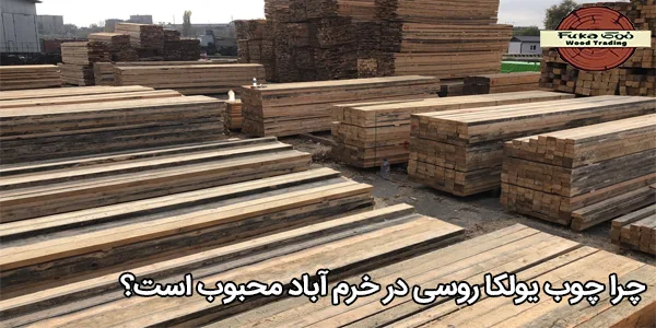 چرا چوب یولکا روسی در خرم آباد محبوب است؟