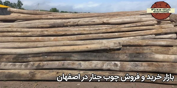 بازار خرید و فروش چوب چنار در اصفهان