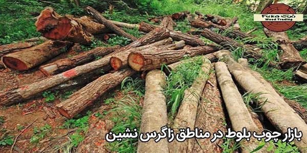 بازار چوب بلوط در مناطق زاگرس‌ نشین