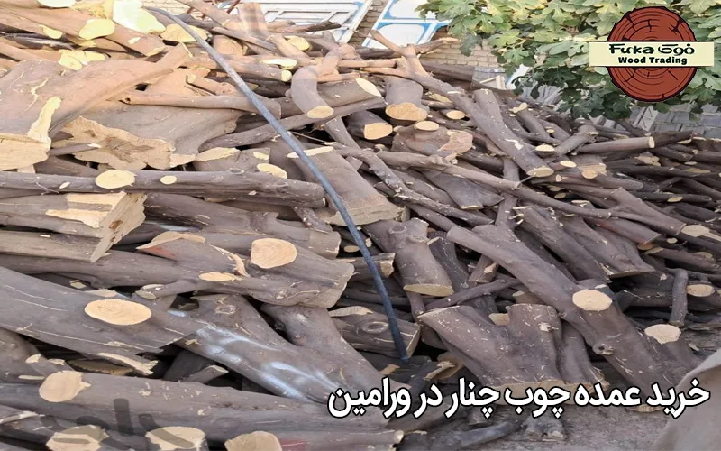 خرید عمده چوب چنار در ورامین