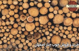 خرید و فروش چوب چنار اصفهان