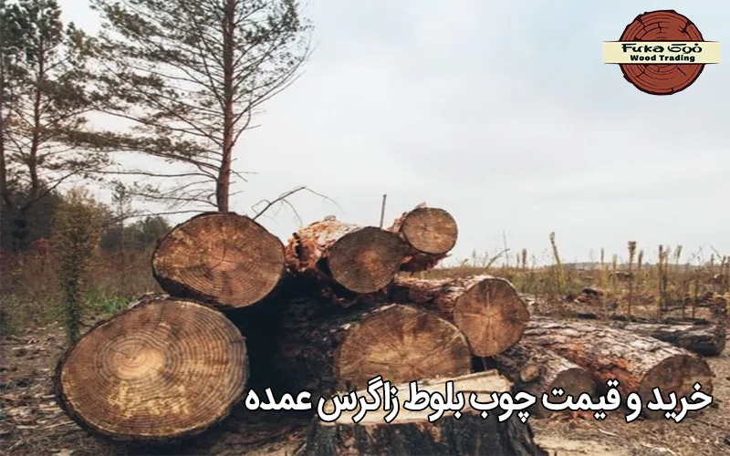 خرید و قیمت چوب بلوط زاگرس عمده