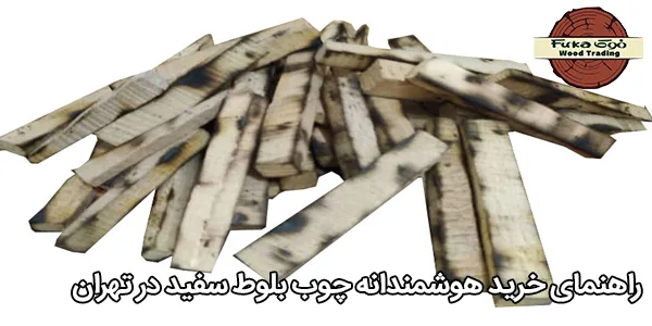 راهنمای خرید هوشمندانه چوب بلوط سفید در تهران