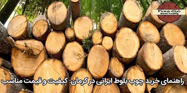 راهنمای خرید چوب بلوط ایرانی در کرمان: کیفیت و قیمت مناسب