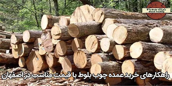 راهکارهای خرید عمده چوب بلوط با قیمت مناسب در اصفهان
