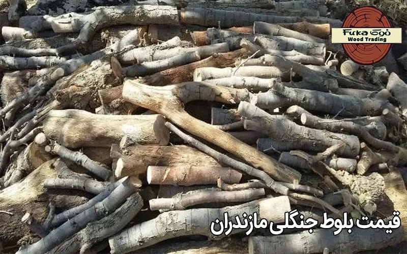 قیمت بلوط جنگلی مازندران