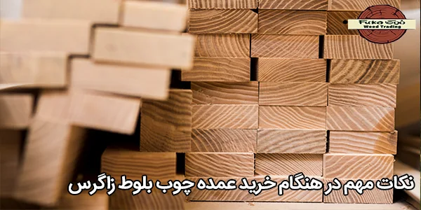 نکات مهم در هنگام خرید عمده چوب بلوط زاگرس