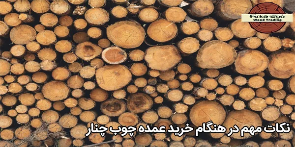 نکات مهم در هنگام خرید عمده چوب چنار