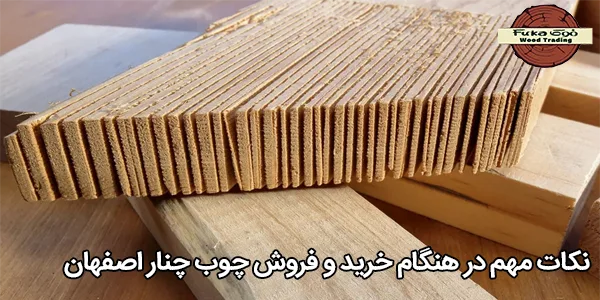 نکات مهم در هنگام خرید و فروش چوب چنار اصفهان