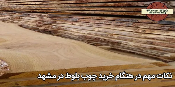 نکات مهم در هنگام خرید چوب بلوط در مشهد